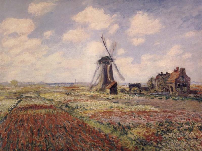 Claude Monet A Field of Tulips in Holland China oil painting art